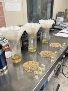 crystal malt
